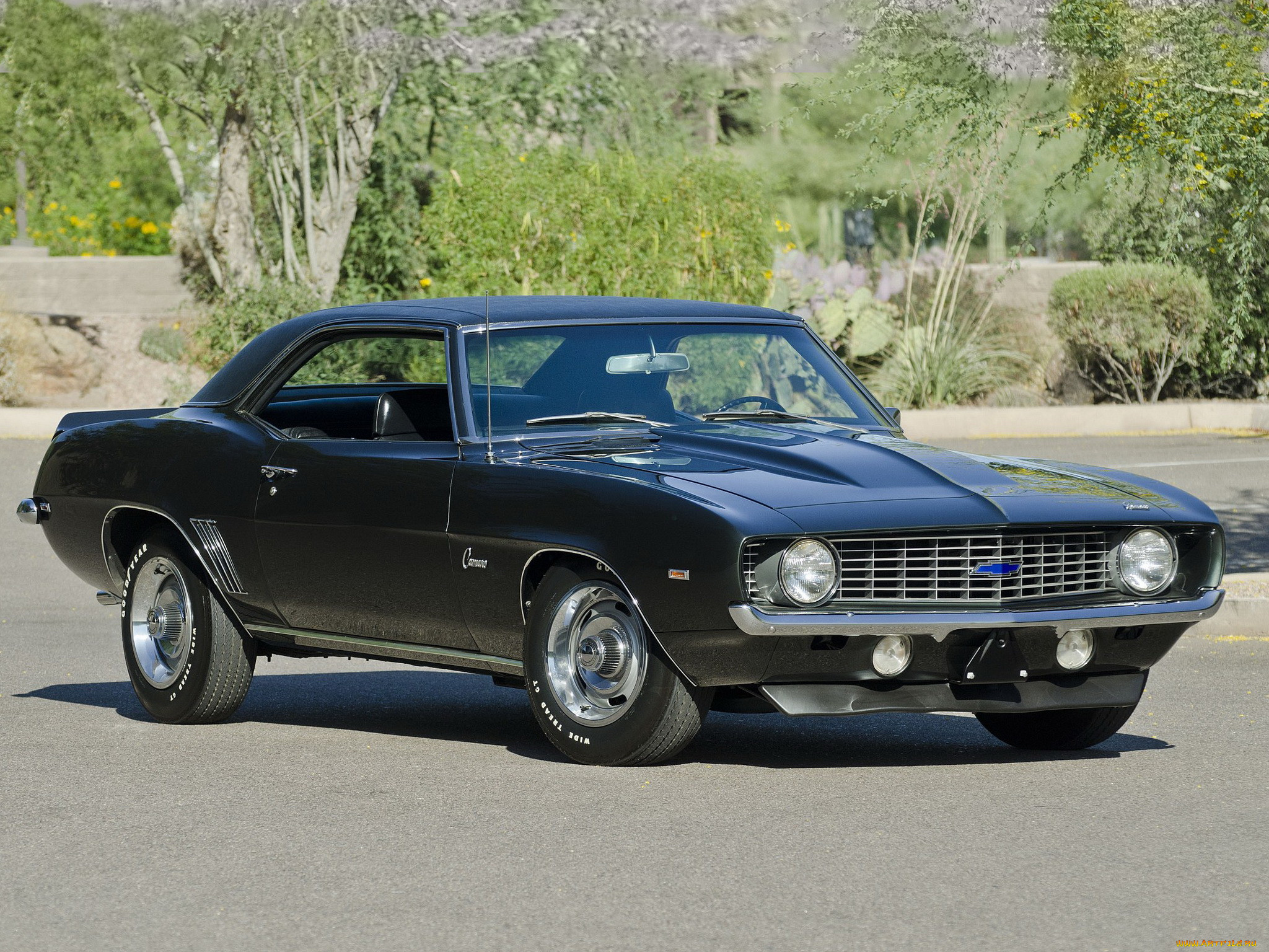 , camaro